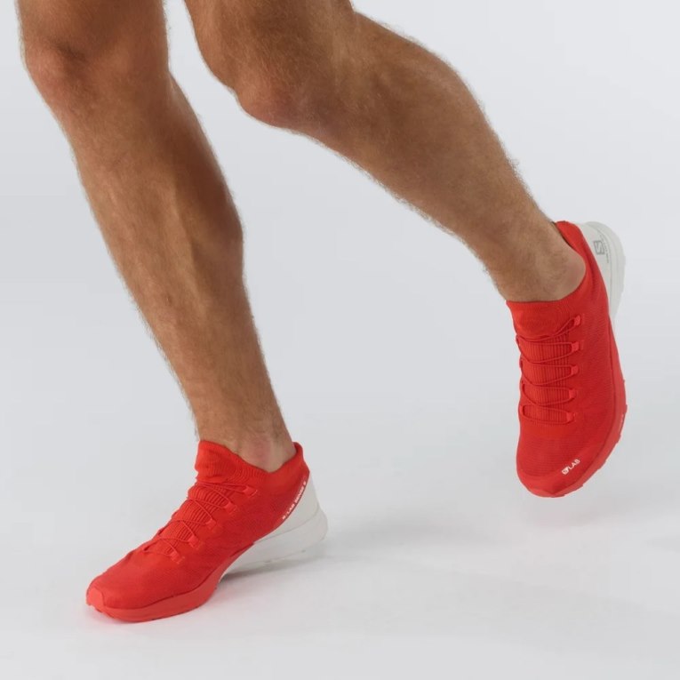 Tenis Para Trail Running Salomon S/Lab Sense 8 Hombre Rojos Blancos | MX KZLX964